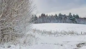 Posypało na Mazurach - zobacz okolice wsi Gajrowskie i Orłowo - zdjęcie 29