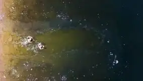 Miłośnicy Mazur - zimowe zdjęcia Szczytna - zdjęcie 11