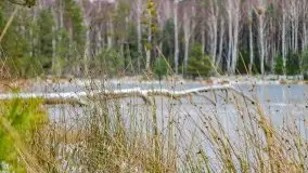Zima nad jeziorem Wesołek, okolice Rucianej Nidy - zdjęcie 8