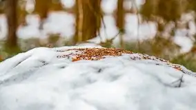 Zima nad jeziorem Wesołek, okolice Rucianej Nidy - zdjęcie 26