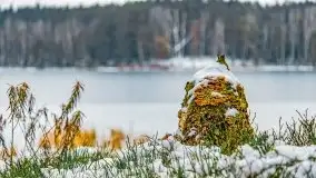Zima nad jeziorem Wesołek, okolice Rucianej Nidy - zdjęcie 51