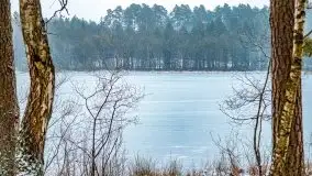 Zima nad jeziorem Wesołek, okolice Rucianej Nidy - zdjęcie 60