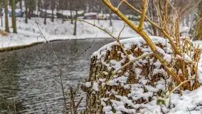 Zimowa szarówka w Rucianem-Nidzie - zdjęcie 31