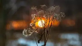 Zimowy zachód słońca między jeziorem Dargin i Sztynorckie - zdjęcie 13