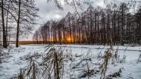 Zimowy zachód słońca między jeziorem Dargin i Sztynorckie - zdjęcie 5