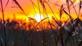 Zimowy zachód słońca między jeziorem Dargin i Sztynorckie - zdjęcie 25