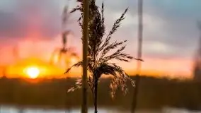 Zimowy zachód słońca między jeziorem Dargin i Sztynorckie - zdjęcie 31