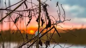 Zimowy zachód słońca między jeziorem Dargin i Sztynorckie - zdjęcie 34