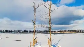 Zima na Mazurach - Port Dla Mew - zdjęcie 23