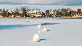 Zima na Mazurach - Port Dla Mew - zdjęcie 33