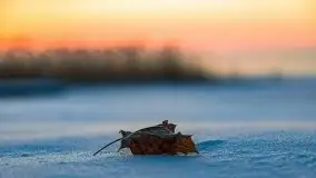 Zimowy wschód słońca nad jeziorem Dargin i... -27 stopni - zdjęcie 37