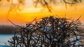 Zimowy wschód słońca nad jeziorem Dargin i... -27 stopni - zdjęcie 34