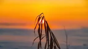 Zimowy wschód słońca nad jeziorem Dargin i... -27 stopni - zdjęcie 82