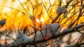 Zachód słońca nad jeziorem Święcajty, Cmentarz wojenny Jagerhohe - zdjęcie 49