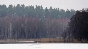 Mazurskie zwierzęta i pełnia zimy na zdjęciach Jana Olchówki - zdjęcie 5