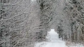 Mazurskie zwierzęta i pełnia zimy na zdjęciach Jana Olchówki - zdjęcie 3