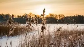 Mazurska zima na zdjęciach Staszka Sielewicza - zdjęcie 21