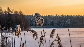 Mazurska zima na zdjęciach Staszka Sielewicza - zdjęcie 16