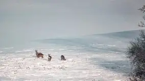 Mazurska zima na zdjęciach Staszka Sielewicza - zdjęcie 27