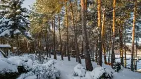 Zimowa i bajkowa sceneria w hotelu Tajty nad j. Tajty - zdjęcie 56