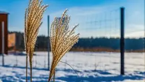 Zimowy Dargin i port Nowy Harsz - zdjęcie 9