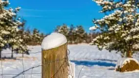 Zimowy Dargin i port Nowy Harsz - zdjęcie 40