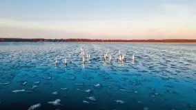 Bojery na jeziorze Dargin 2021 cz. 1 - zdjęcie 59