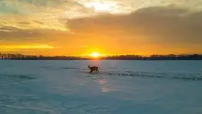 Wschód słońca w okolicach Sztynortu, zima 2021 - zdjęcie 29