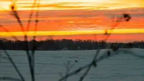 Wschód słońca w okolicach Sztynortu, zima 2021 - zdjęcie 34