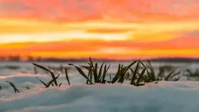 Wschód słońca w okolicach Sztynortu, zima 2021 - zdjęcie 4