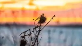 Wschód słońca w okolicach Sztynortu, zima 2021 - zdjęcie 33