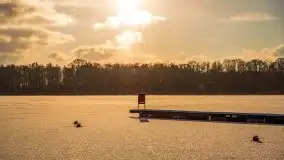 Port w Sztynorcie w zimowej scenerii, styczeń 2021 r. - zdjęcie 47