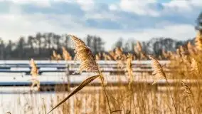 Port w Sztynorcie w zimowej scenerii, styczeń 2021 r. - zdjęcie 42