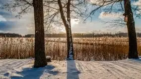 Port w Sztynorcie w zimowej scenerii, styczeń 2021 r. - zdjęcie 44