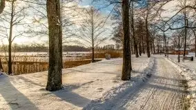 Port w Sztynorcie w zimowej scenerii, styczeń 2021 r. - zdjęcie 66