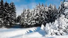 Przedwojenne pokolorowane zdjęcia Mrągowa (Sensburg) - zdjęcie 32