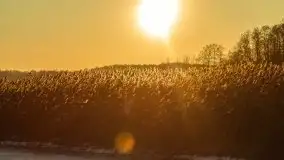 Bojery na jeziorze Dargin 2021 cz. 2 - zdjęcie 13