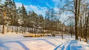 Zimowe Wydminy przed zachodem słońca, styczeń 2021 r. - zdjęcie 14