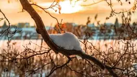 Zimowe Wydminy przed zachodem słońca, styczeń 2021 r. - zdjęcie 31