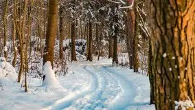 Zimowe Wydminy przed zachodem słońca, styczeń 2021 r. - zdjęcie 73