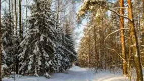 Kolejna dawka pięknej, mazurskiej zimy przy jez. Dargin - zdjęcie 23