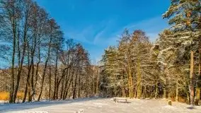 Kolejna dawka pięknej, mazurskiej zimy przy jez. Dargin - zdjęcie 26