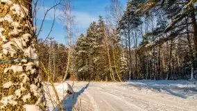 Kolejna dawka pięknej, mazurskiej zimy przy jez. Dargin - zdjęcie 41