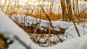 Zachód słońca w okolicach zimowych Kruklanek - zdjęcie 33