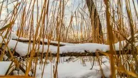 Zachód słońca w okolicach zimowych Kruklanek - zdjęcie 43