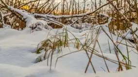 Zachód słońca w okolicach zimowych Kruklanek - zdjęcie 25