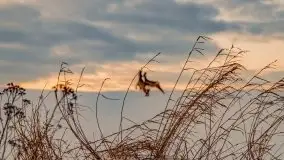 Zachód słońca w okolicach zimowych Kruklanek - zdjęcie 52