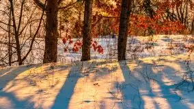 Zachód słońca w okolicach Starych Juch, 02.2021 - zdjęcie 18