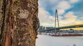 Wschód słońca w Giżycku w zimowej oprawie, 02.2021 - zdjęcie 31