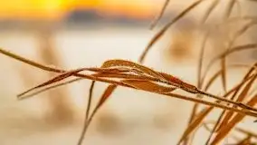 Wschód słońca w Giżycku w zimowej oprawie, 02.2021 - zdjęcie 19